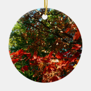 Décoration En Céramique Érable japonais, arbre d'automne feuilles