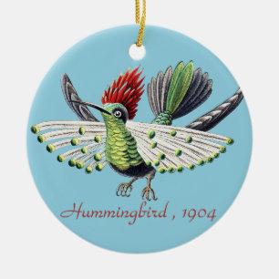 Décoration En Céramique Ernst Haeckel Colibri Coloré Art de la Nature