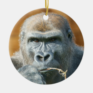 Décoration En Céramique Face à face avec une Gorille