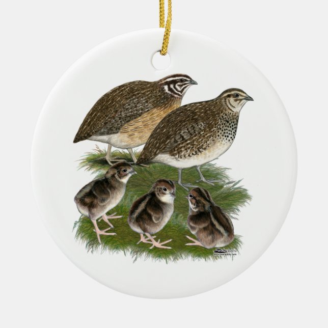Décoration En Céramique Famille Coturnix Quail (Devant)