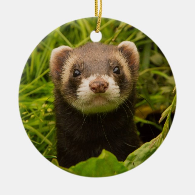 Décoration En Céramique Ferret pour animaux dans l'herbe (Devant)