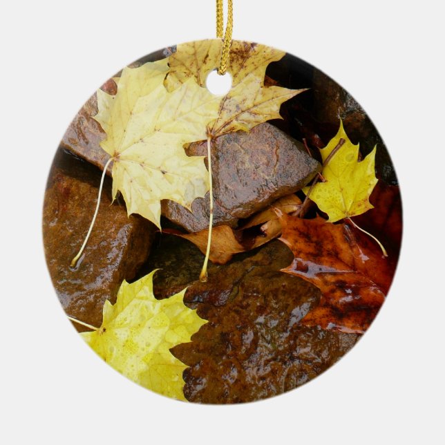 Décoration En Céramique Feuille et rochers d'automne Photographie naturell (Devant)
