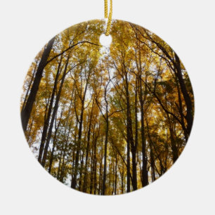 Décoration En Céramique Feuilles d'automne dans le matin Maryland Nature