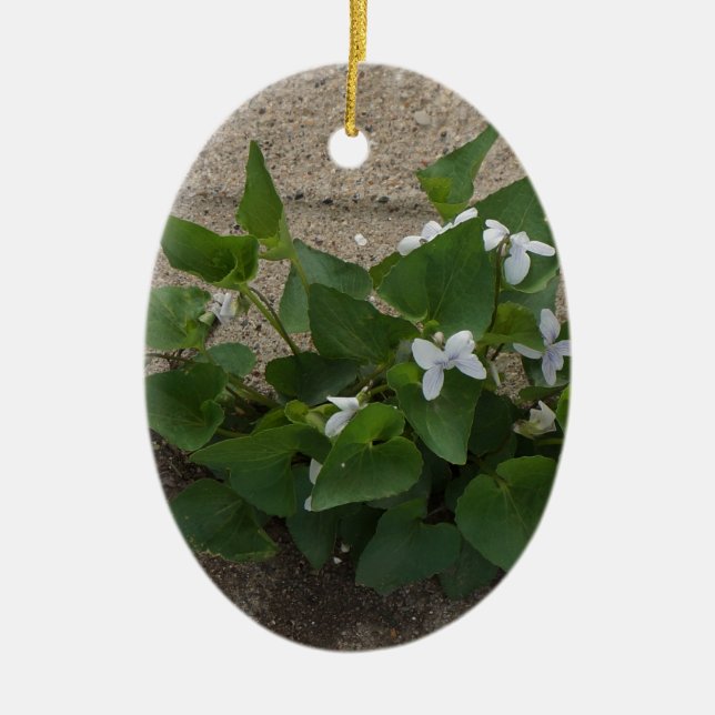 Décoration En Céramique Fleur de trottoir (Devant)