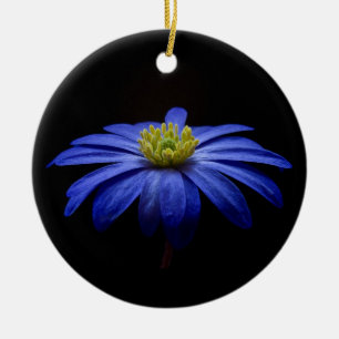 Décoration En Céramique Fleur Gerbera Blue Daisy sur un arrière - plan noi