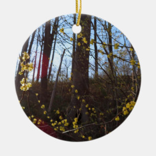 Décoration En Céramique Fleurs à épicéa au printemps