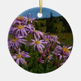 Décoration En Céramique Fleurs d'aster violettes au mont Rainier