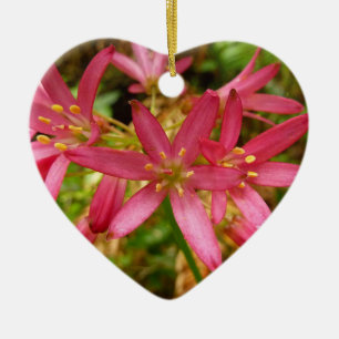 Décoration En Céramique Fleurs de Clintonia rouges aux séquoias