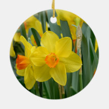 Fleurs florales de jonquille jaune mignonne