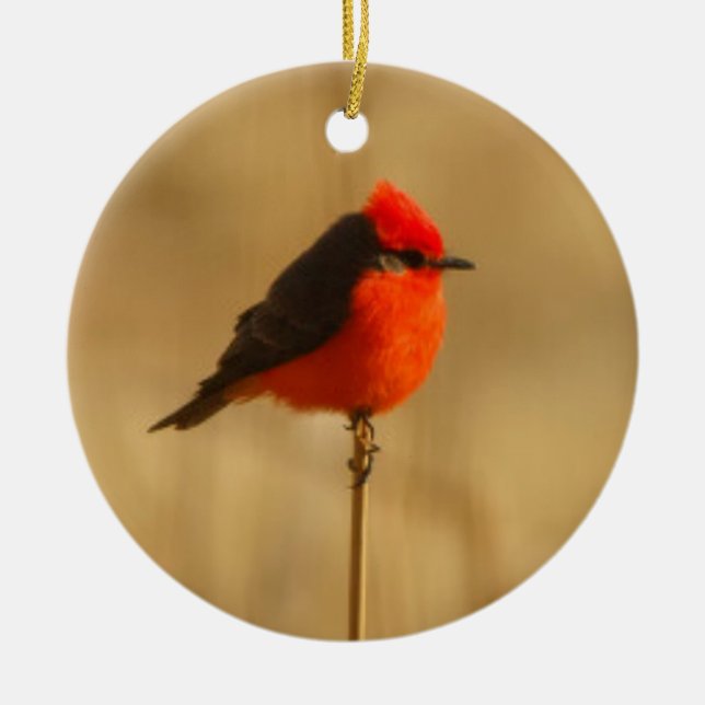 Décoration En Céramique FLYCATCHER vermillon (Devant)
