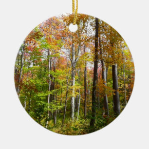 Décoration En Céramique Forêt d'automne I Photographie de paysage automnal