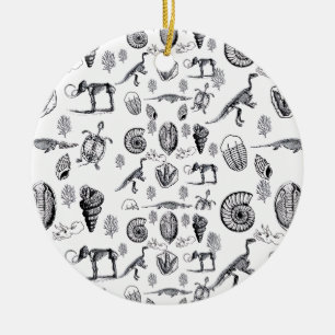 Décoration En Céramique Fossiles