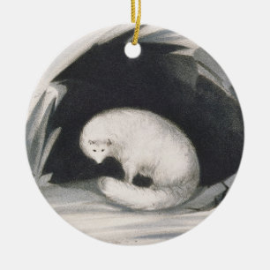 Décoration En Céramique Fox arctique, de 'récit d'un deuxième voyage