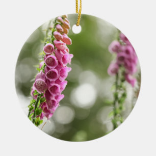Décoration En Céramique Foxglove Blossom Nature Photo