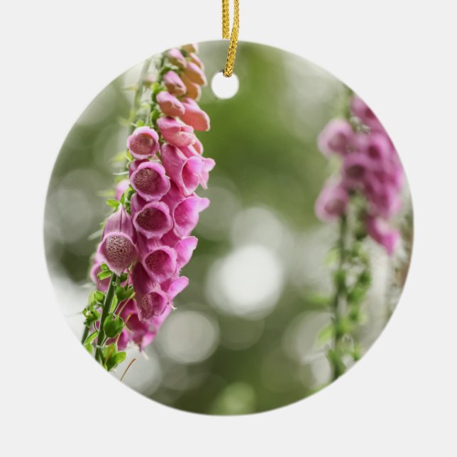 Décoration En Céramique Foxglove Blossom Nature Photo (Devant)