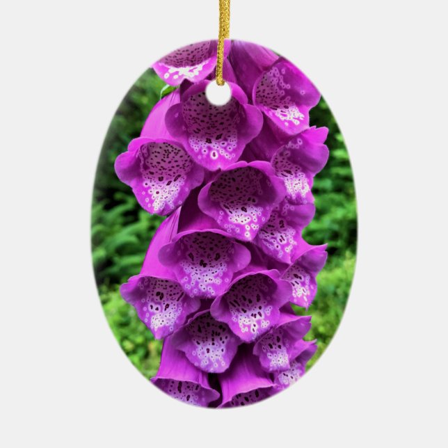 Décoration En Céramique Foxglove Flowers, Oregon (Devant)