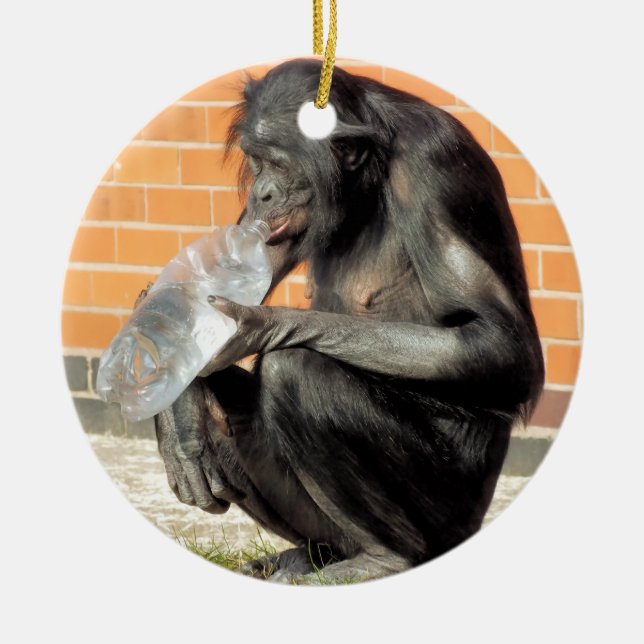 DÉCORATION EN CÉRAMIQUE FUNNY CHIMPANZEE (Devant)