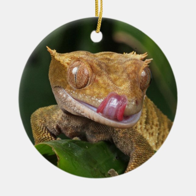 Décoration En Céramique Gecko Lizard (Devant)