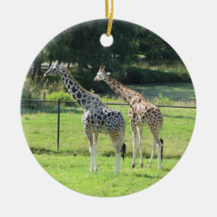Décoration En Céramique Giraffes