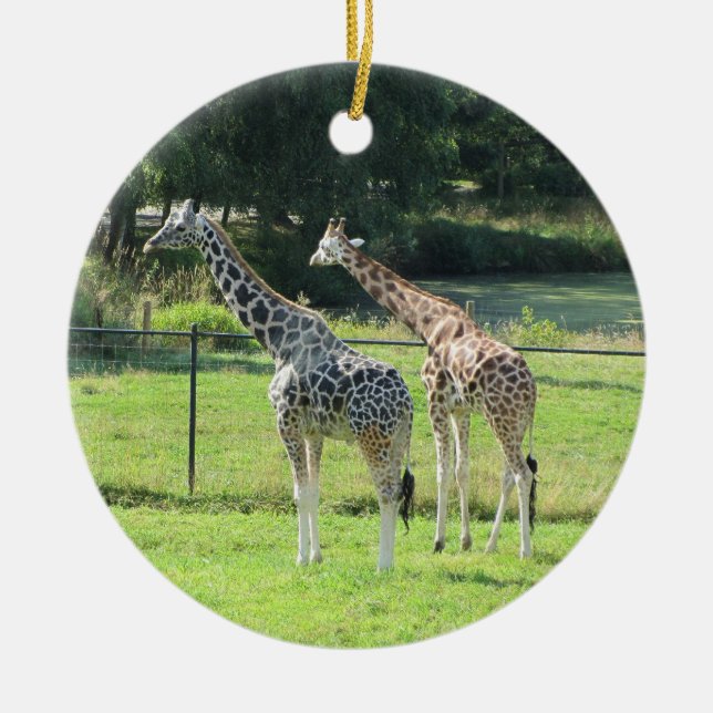Décoration En Céramique Giraffes (Devant)