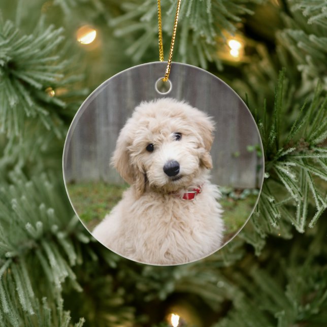 Décoration En Céramique Goldendoodle Puppy Se Trouve Dans L'Herbe (Arbre)