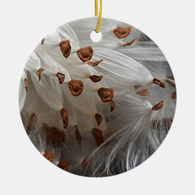 Décoration En Céramique Graines de Milkweed Exode Monarch Papillon Aliment (Devant)