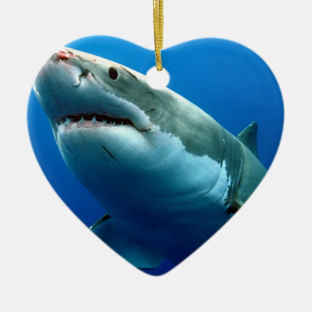 DÉCORATION EN CÉRAMIQUE GRAND REQUIN BLANC 3 (Devant)