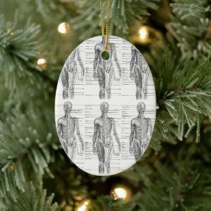 Décoration En Céramique Graphique Médicale de l'anatomie humaine