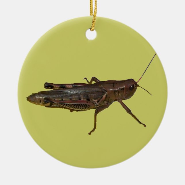 Décoration En Céramique Grasshopper Design (Devant)