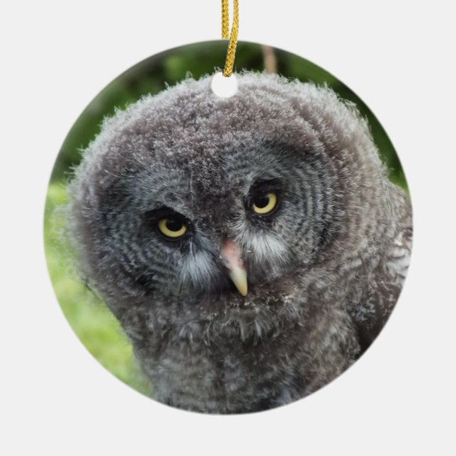 DÉCORATION EN CÉRAMIQUE GRAY OWL (Devant)