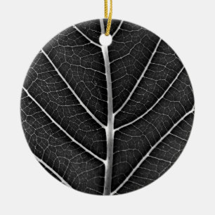 Décoration En Céramique Gros plan sur une feuille lumineuse noir et blanc