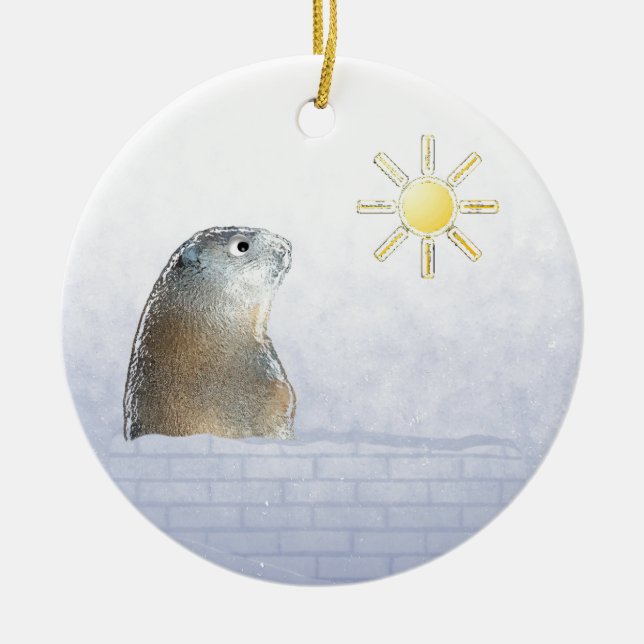 Décoration En Céramique Groundhog congelé (Devant)