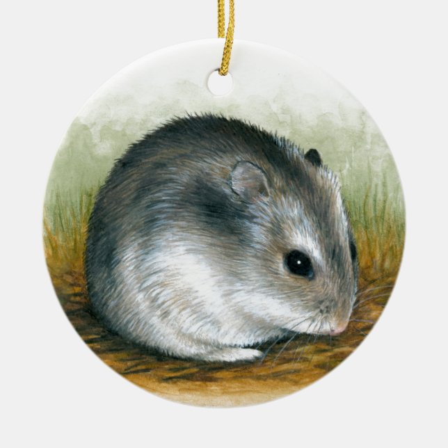 Décoration En Céramique Hamster 25 (Devant)