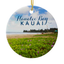 Hanalei Bay Kauai Hawaii 2 année photo