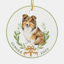 Happy Sheltie dans Laurel Wreath