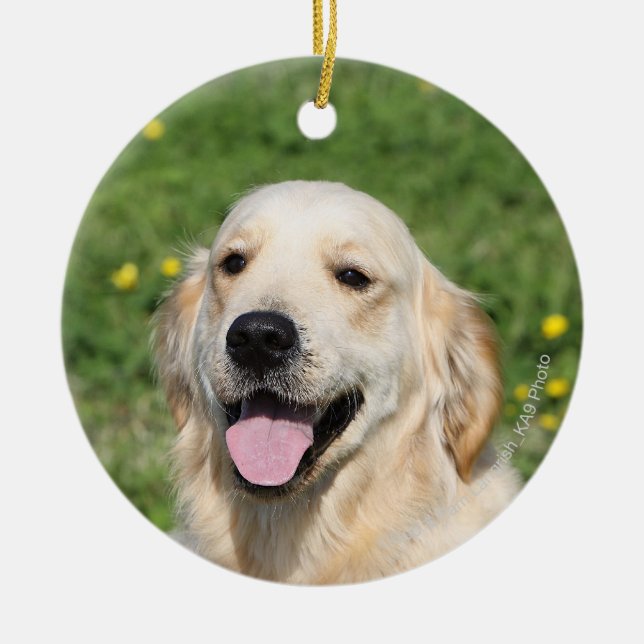 Décoration En Céramique Headshot 1 de golden retriever (Devant)