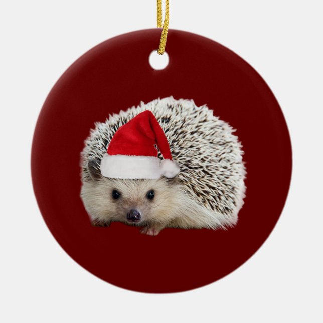 Décoration En Céramique Hérisson avec Casquette Scaft Noël (Devant)