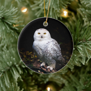 Décoration En Céramique Hibou des neiges majestueux d'hiver