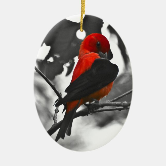 Décoration En Céramique Homme Scarlet Tanager (Devant)