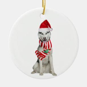 Décoration En Céramique Husky With Hat Scaft Christmas