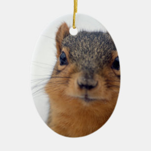 Décoration En Céramique I, Squirrel