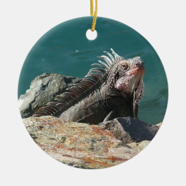 Décoration En Céramique Iguana à St Thomas (Devant)