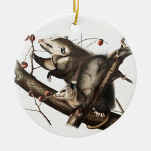 Décoration En Céramique Illustration de l'opossum de Virginie Didelphis vi