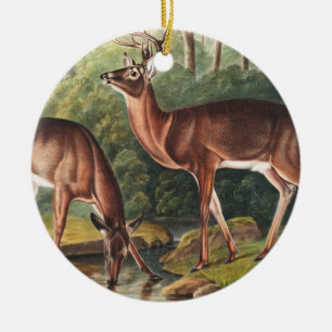 Décoration En Céramique Illustration de Virginian Deer (Cervus Virginianus