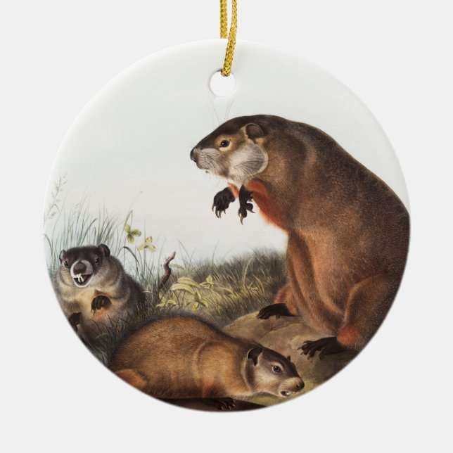 Décoration En Céramique Illustration de Woodchuck (Arctomys monax) (Devant)