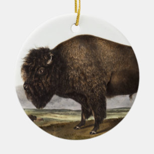 Décoration En Céramique Illustration du bison américain (Bos Americanus)