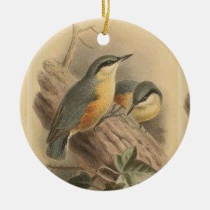 Décoration En Céramique Illustration vintage de Nuthatch