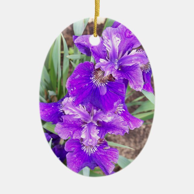 Décoration En Céramique Iris pourpre avec l'ornement de gouttelettes d'eau (Devant)