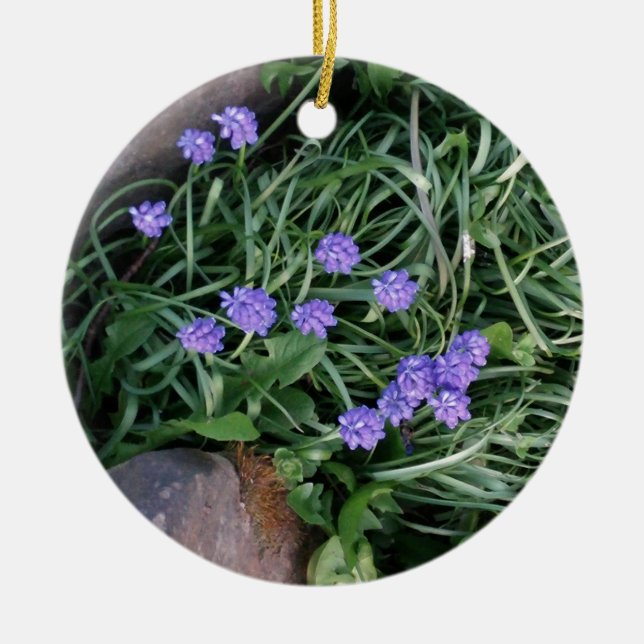 Décoration En Céramique jacinthe de raisin commun, fleur violet bleu, flor (Devant)