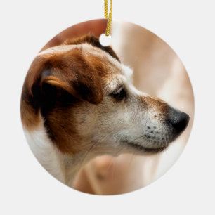 DÉCORATION EN CÉRAMIQUE JACK RUSSELL TERRIER CHIEN